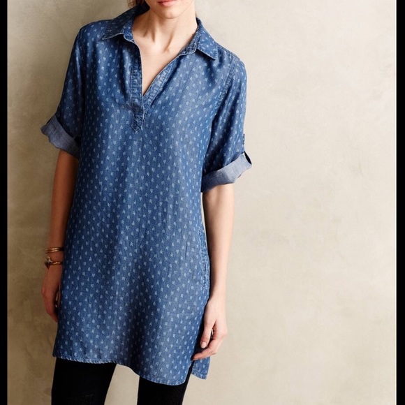 Anthropologie Dresses & Skirts - Anthropologie Stone and Cloth tunic/dress